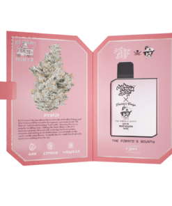 micro bar Ice Cream Mintz